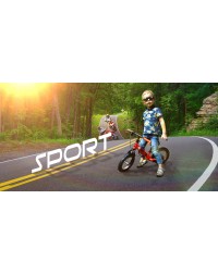Детский алюминиевый беговел Small Rider Roadster 3 (Sport, EVA) (оранжевый)