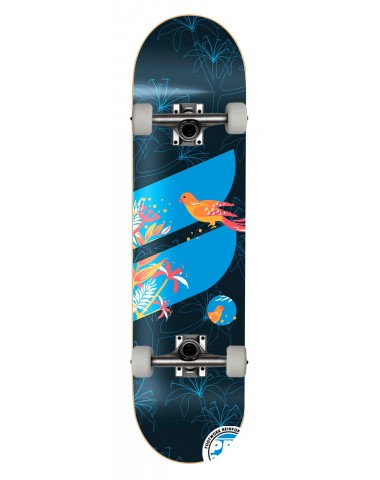 Скейтборд в сборе Footwork Evo Canary 8x31.5 Трюковый для детей / подростков