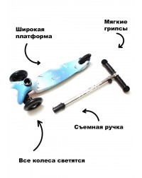 Самокат Triumf mini up flash print dolphin Самокат Triumf mini up flash print dolphin