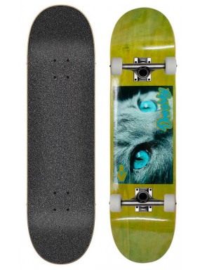 Скейтборд в сборе Droshky Cat Eye Series Blue-Green background 8x31.75