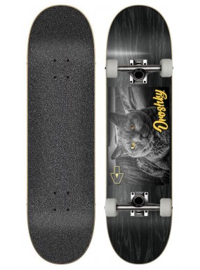 Скейтборд в сборе Droshky Deck Cat Eye Series Gold-Black Background 8x31.75