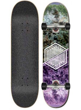 Скейтборд в сборе BD Deck Nature Trees 8.0x31.75