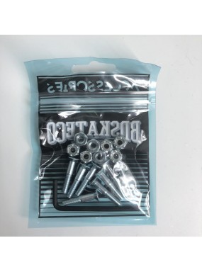 Комплект винтов BD Hardware Silver 1" Комплект винтов BD Hardware Silver 1"