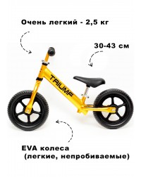 Беговел Алюминиевый Triumf AL1201 2019 золотой Беговел Алюминиевый Triumf AL1201 2019 золотой