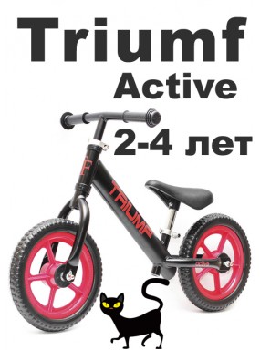 Беговел Алюминиевый Triumf AL1201 2019 черный Беговел Алюминиевый Triumf AL1201 2019 черный