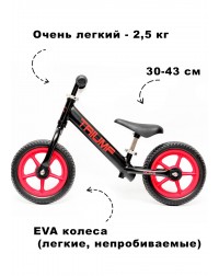 Беговел Алюминиевый Triumf AL1201 2019 черный Беговел Алюминиевый Triumf AL1201 2019 черный