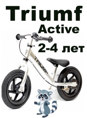 Беговел Алюминиевый Triumf Active AL-1201TW 2019 серебристый Беговел Алюминиевый Triumf Active AL-1201TW 2019 серебристый