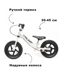 Беговел Алюминиевый Triumf Active AL-1201TW 2019 серебристый Беговел Алюминиевый Triumf Active AL-1201TW 2019 серебристый