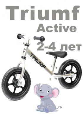 Беговел Алюминиевый Triumf AL1201 2019 серебристый Беговел Алюминиевый Triumf AL1201 2019 серебристый