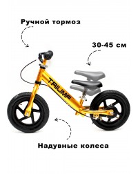 Беговел Алюминиевый Triumf Active AL-1201TW 2019 золотой Беговел Алюминиевый Triumf Active AL-1201TW 2019 золотой