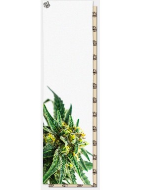 Шкурка dip GRIP White Grass Perforated