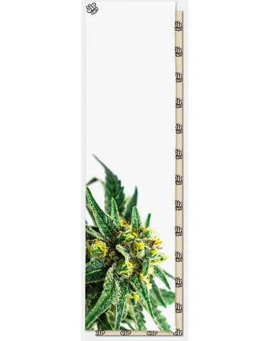 Шкурка dip GRIP White Grass Perforated для скейтборда / самоката