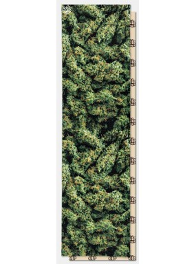 Шкурка dip GRIP Greens Perforated