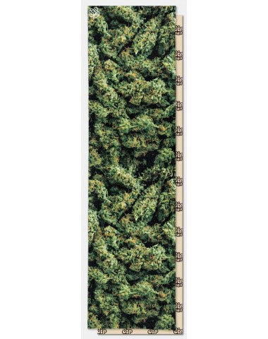 Шкурка dip GRIP Greens Perforated для скейтборда / самоката