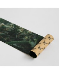 Шкурка dip GRIP Mary Perforated