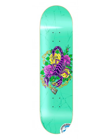 Дека Footwork Progress Scorpion Mint 8x31.5 для скейтборда