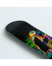 Дека Footwork PROGRESS Parrot 8 x 31.5