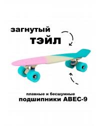 Скейтборд пенни борд LDR Malibu для детей / подростков Скейтборд пенни борд LDR Malibu для детей / подростков