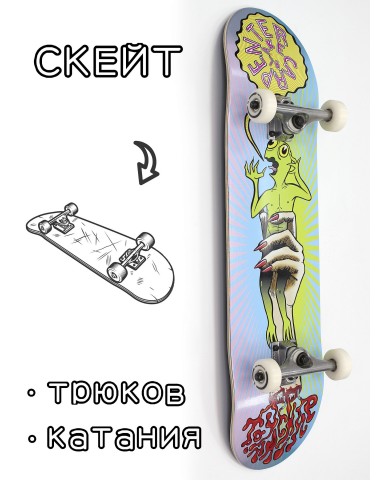 Скейтборд в сборе Toy Machine Blake Carpenter 8*31.75 Трюковый для детей / подростков
