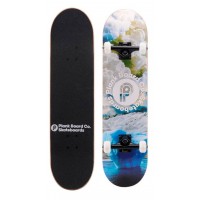 Скейтборд PLANK FROSTY 31x8 Трюковый для детей / подростков Скейтборд PLANK FROSTY 31x8 Трюковый для детей / подростков