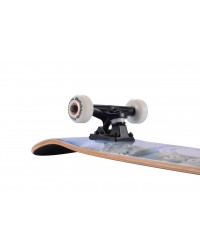 Скейтборд PLANK FROSTY 31x8