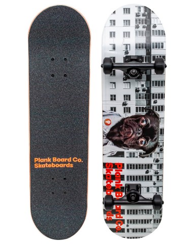 Скейтборд PLANK Pug 31,875*8 Трюковый для детей / подростков
