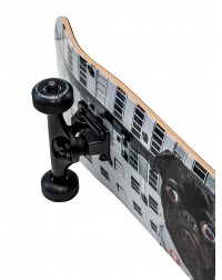 Скейтборд PLANK Pug 31,875*8 Скейтборд PLANK Pug 31,875*8