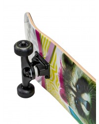 Скейтборд PLANK Raccoon 31,875*8