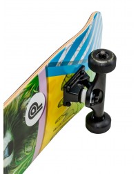 Скейтборд PLANK Raccoon 31,875*8