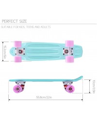 Круизер пластиковый Minty 22*6 Playshion Круизер пластиковый Minty 22*6 Playshion