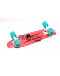 Миникруизер  22 TT