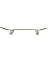 Скейтборд в сборе ЮНИОН CHARES MULTI 31.875 X 7.875 (17.8 СМ)